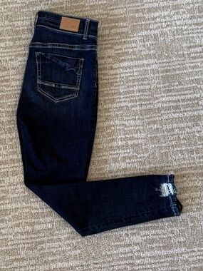 BKE Parker Ankle Skinny Stretch Jean